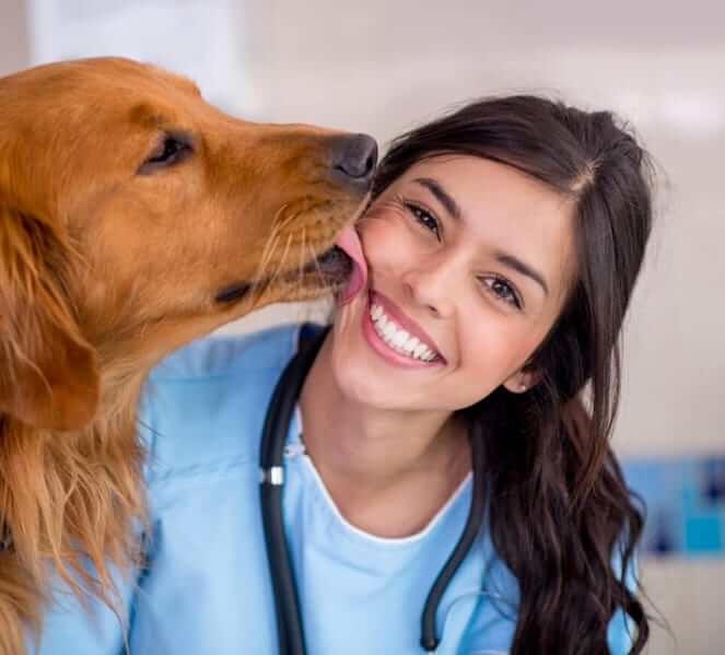 Lone Tree Veterinary Hospital Top Rated Antioch Veterinarians