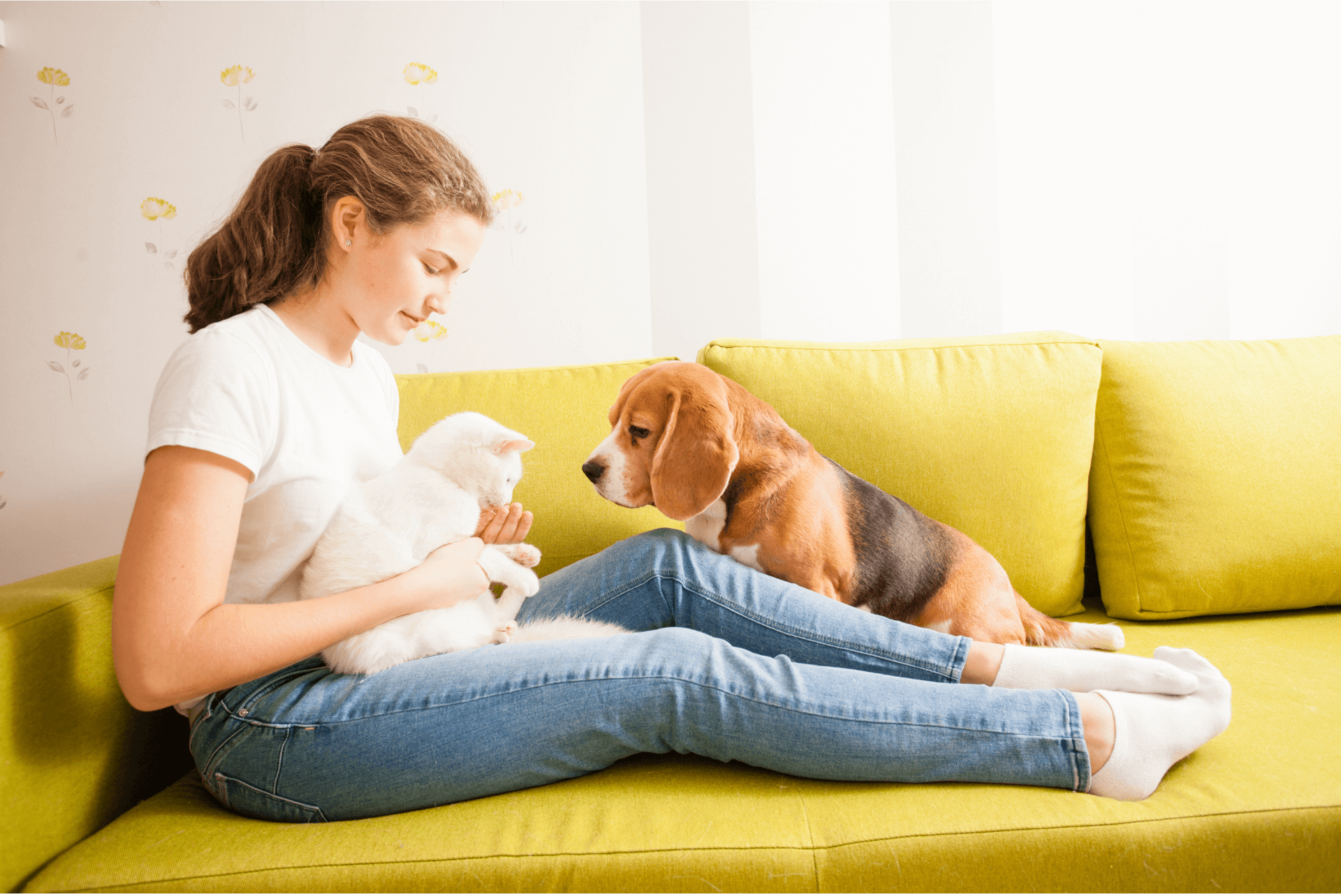 Lone Tree Veterinary Hospital Top Rated Antioch Veterinarians