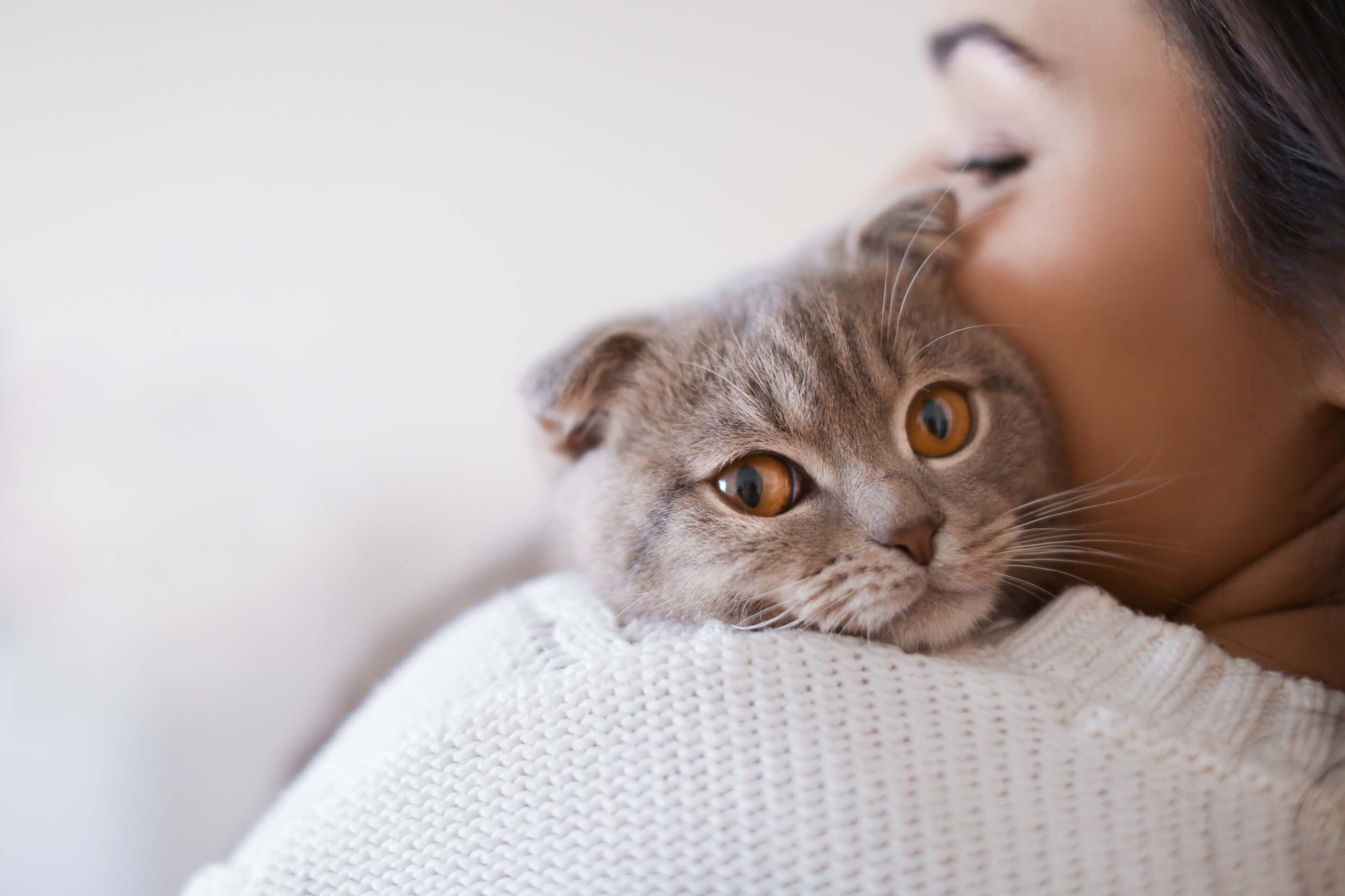 Schedule your pet's spay and neuter appointment