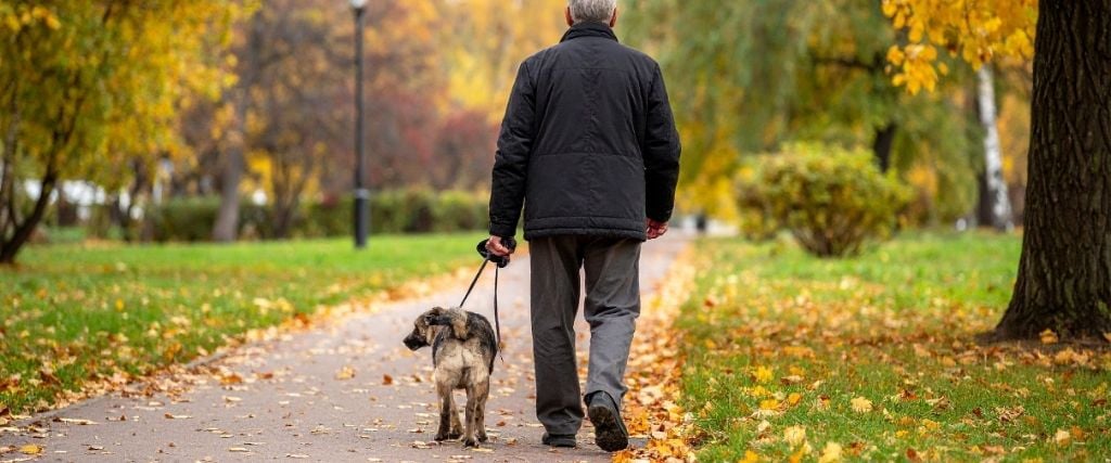 Older man walking his dog through a park during Fall