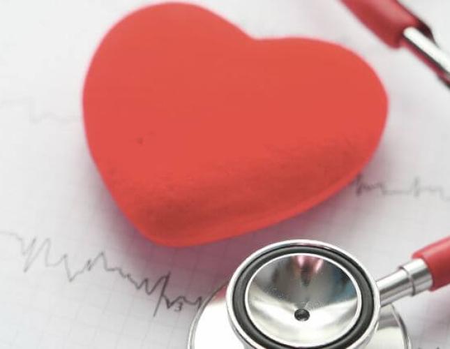 A Veterinarian's Insight into Dog Cardiology: Understanding Heart Health in Canines