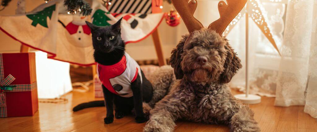 Holiday Pet Safety: The Dos & Don’ts of Keeping Your Pets Safe this Holiday Season